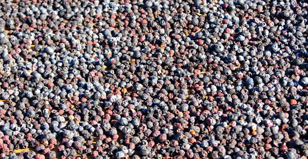 Demand for Dried Blueberries on the Rise